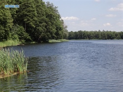 Borowy Młyn, Kemping, gm.Pszczew, woj.lubuskie