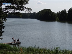 Niedźwiady, Jezioro Niedźwiedno, gm.Skąpe, woj.lubuskie