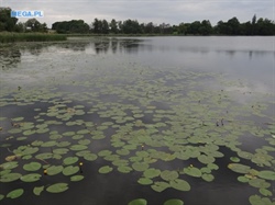 Lubrza, Domek do wynajęcia, gm.Lubrza, woj.lubuskie