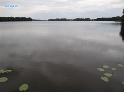 Jezioro Lipie, gm.Strzelce Krajeńskie, woj.lubuskie